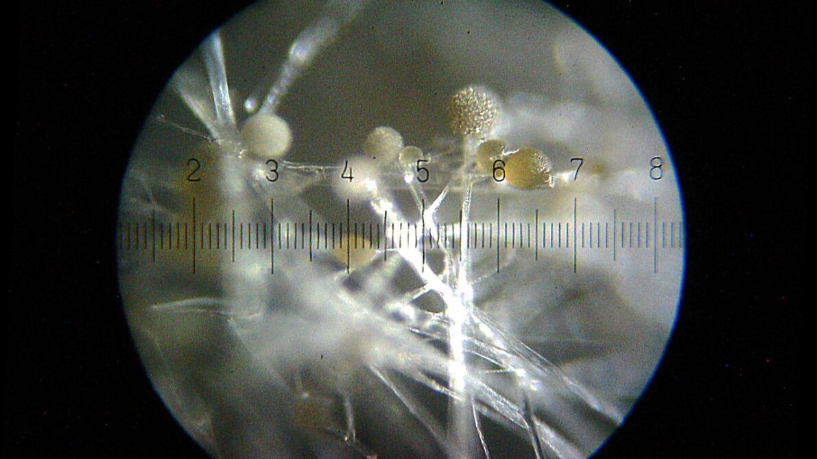 エアコンフィルターの交換時期・費用・DIY手順
